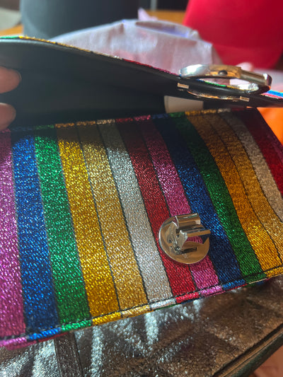 Zara rainbow metallic striped purse